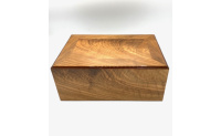 HUMIDOR GENTILI LIJSTVORM 30-40 SIGAREN img_0686