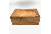 HUMIDOR GENTILI LIJSTVORM 30-40 SIGAREN img_0686